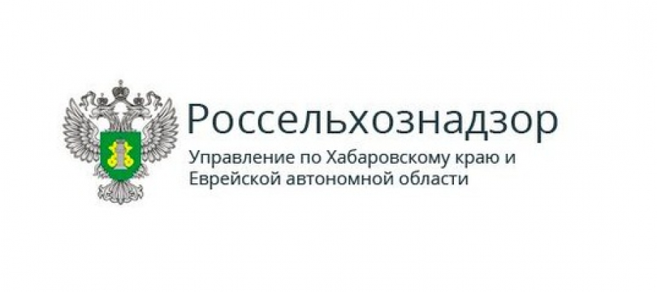 Управление россельхознадзора по пермскому краю. Россельхознадзор по Хабаровскому краю.